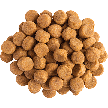 Purina Pro Plan JM Joint Mobility Canino 2kg Purina Pro Plan JM Joint Mobility Canino 2kg