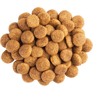 Purina Pro Plan NC Neuro Care Canino 2kg Purina Pro Plan NC Neuro Care Canino 2kg