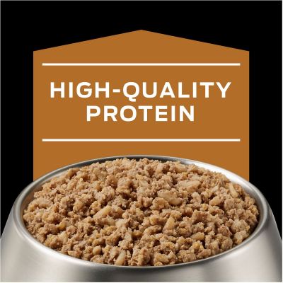Purina Pro Plan NF Kidney Function Canino Lata 380gr Pack 12 Unidades Purina Pro Plan NF Kidney Function Canino Lata 380gr Pack 12 Unidades