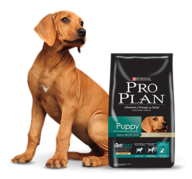 Purina Pro Plan Puppy Large con OptiStar 15kg Purina Pro Plan Puppy Large con OptiStar 15kg