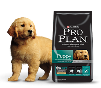 Purina Pro Plan Puppy Razas Medianas con OptiStar 3kg Purina Pro Plan Puppy Razas Medianas con OptiStar 3kg