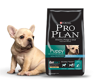 purina pro plan bulldog