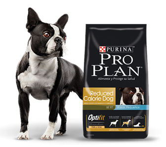 Purina Pro Plan Reduced Calorie Small con OptiFit 3kg Purina Pro Plan Reduced Calorie Small con OptiFit 3kg