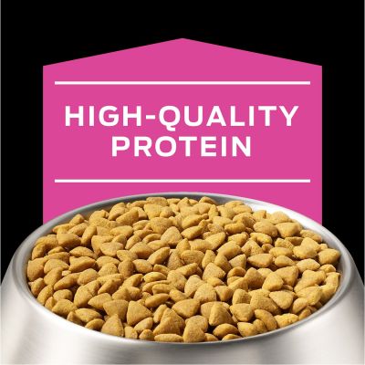 Purina Pro Plan UR Urinary Canino 2kg Purina Pro Plan UR Urinary Canino 2kg