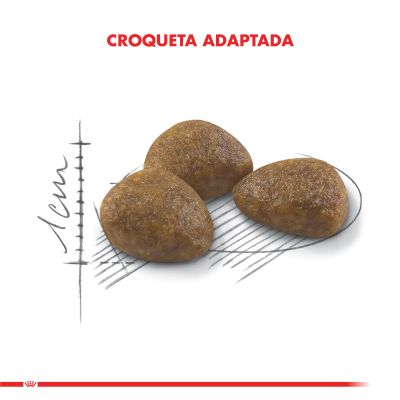 Royal Canin Active 7+ 2kg Royal Canin Active 7+ 2kg