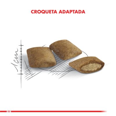 Royal Canin Ageing 12+ 2kg Royal Canin Ageing 12+ 2kg