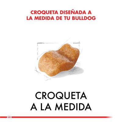 Royal Canin Bulldog Ingles Adulto 12kg Royal Canin Bulldog Ingles Adulto 12kg