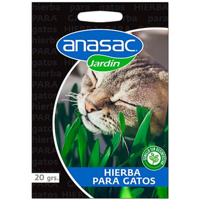 Semillas Hierba Gatera 20gr Semillas Hierba Gatera 20gr