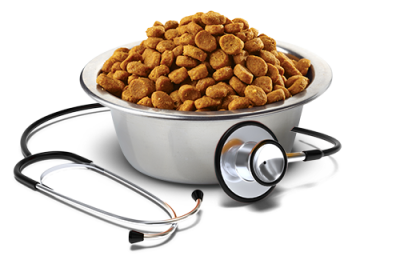 Vet Life Dog Obesity Diabetic 10.1kg Vet Life Dog Obesity Diabetic 10.1kg