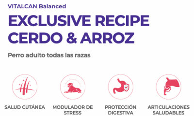 VitalCan Perro Adulto Cerdo y Arroz 15kg VitalCan Perro Adulto Cerdo y Arroz 15kg