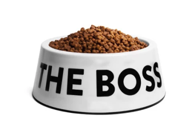 ZeeDog Boss Bowl White Small ZeeDog Boss Bowl White Small