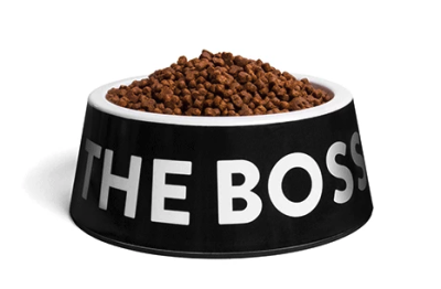 ZeeDog Plato Boss Bowl Large ZeeDog Plato Boss Bowl Large