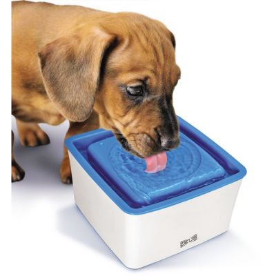 Zeus Mini Bebedero 1.5 litros Zeus Mini Bebedero 1.5 litros