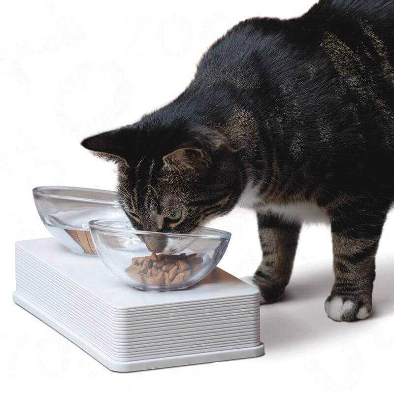 Cat It Plato de vidrio Base Blanca para gatos | NovaPet.cl Alimentos y