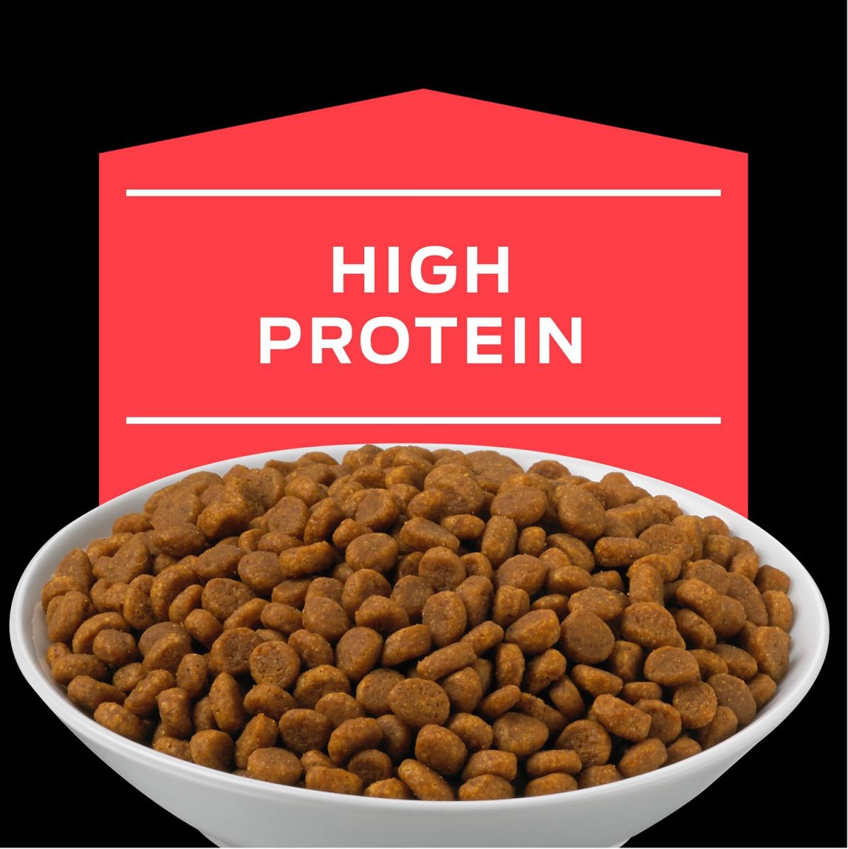 Purina Pro Plan DM Diabetes Felino 1.5kg | NovaPet.cl Alimentos y ...