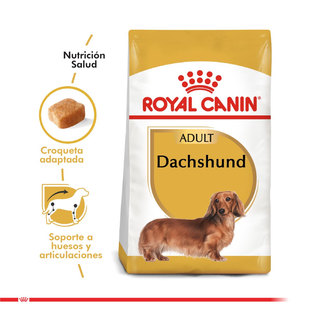 royal canin dachshund teckel