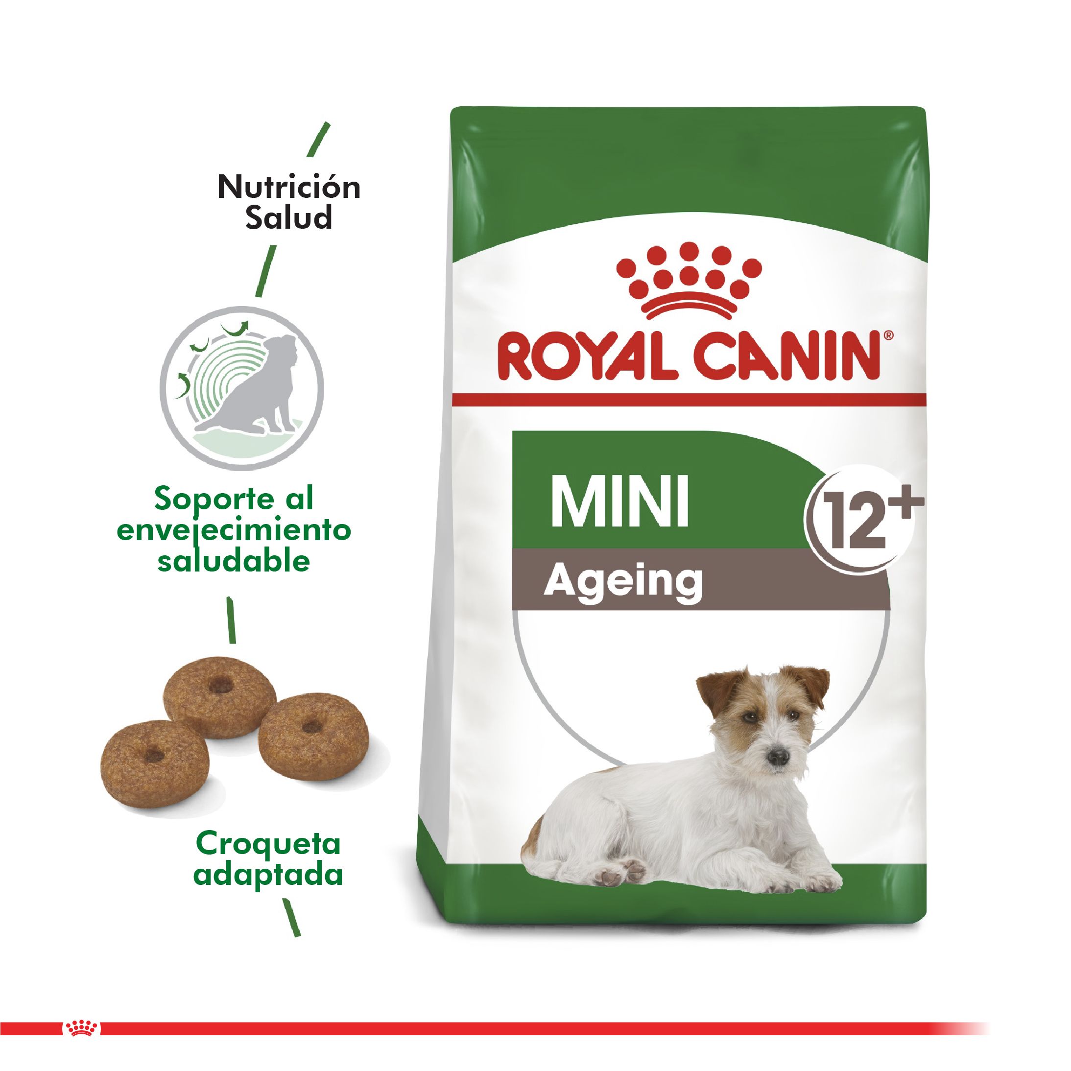 Royal Canin Mini Adulto 12+ 2.5kg NovaPet.cl Alimentos y accesorios