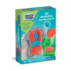 CLEMENTONI KIT DE ANATOMIA CON ORGANOS SQUISHY