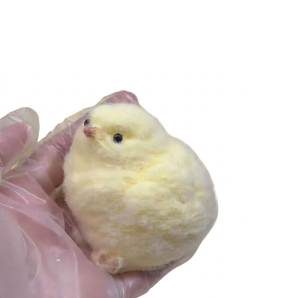 POLLITO SQUISHY3