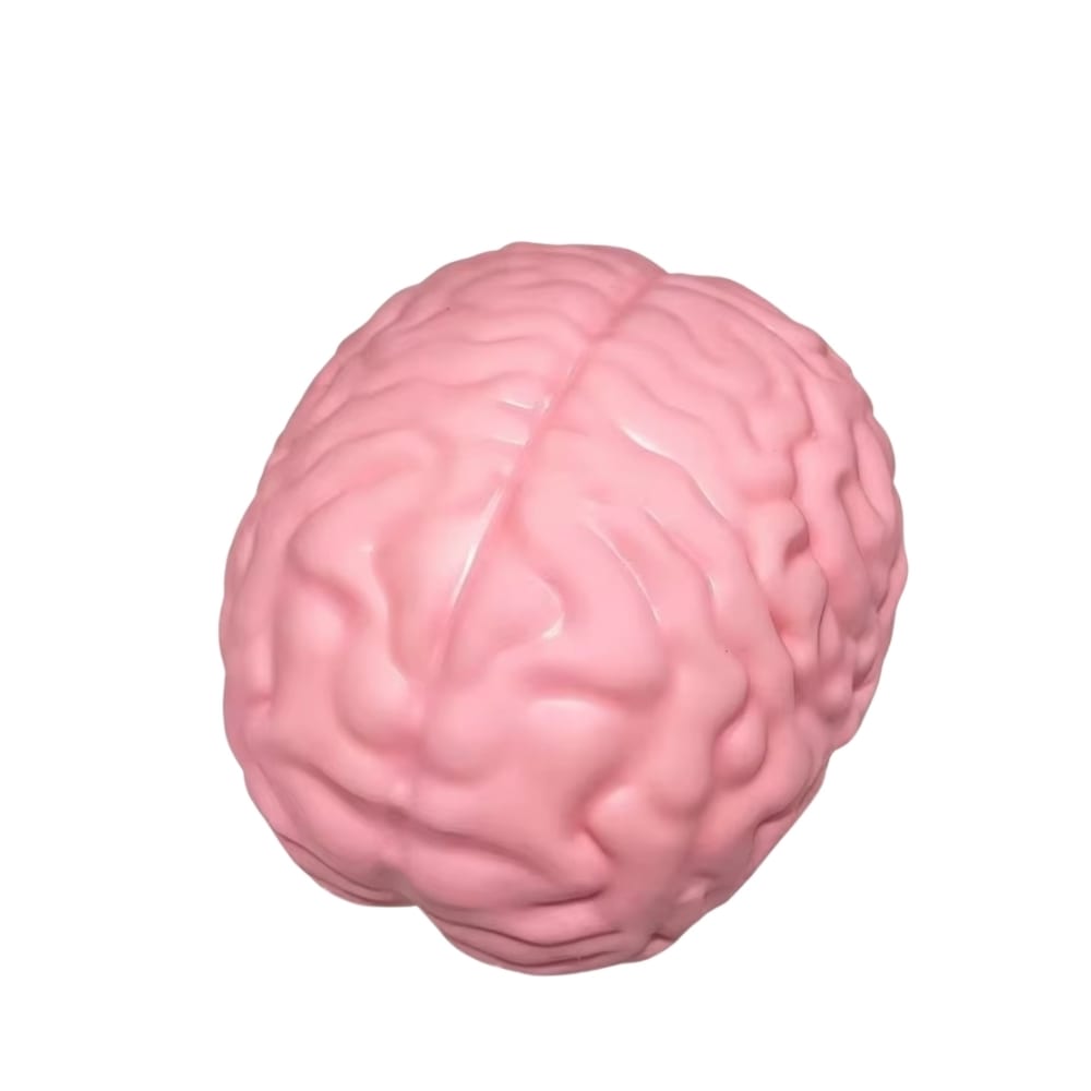 SQUISHY CEREBRO XL2