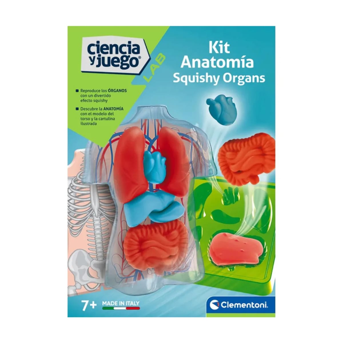 CLEMENTONI KIT DE ANATOMIA CON ORGANOS SQUISHY2