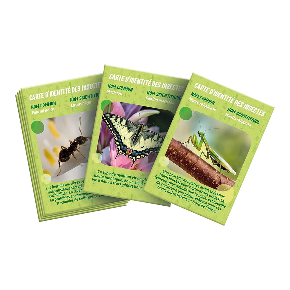 CLEMENTONI LA CASA DE LOS INSECTOS5