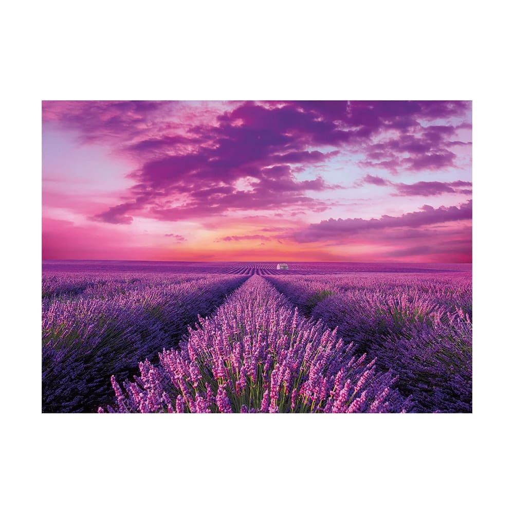 CLEMENTONI ROMPECABEZAS 1000 PZS - CAMPOS DE LAVANDA2