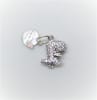 CHARM DINO1
