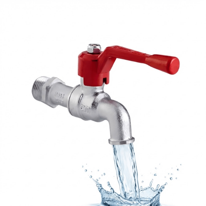 CAÑO BOTADERO CIMVAL2