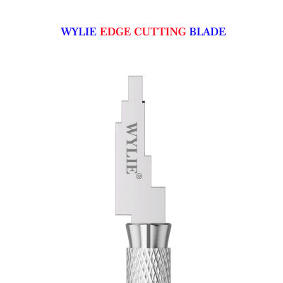 WYLIE REMOVE GLUE SCREEN (IP12 AL 15PM)