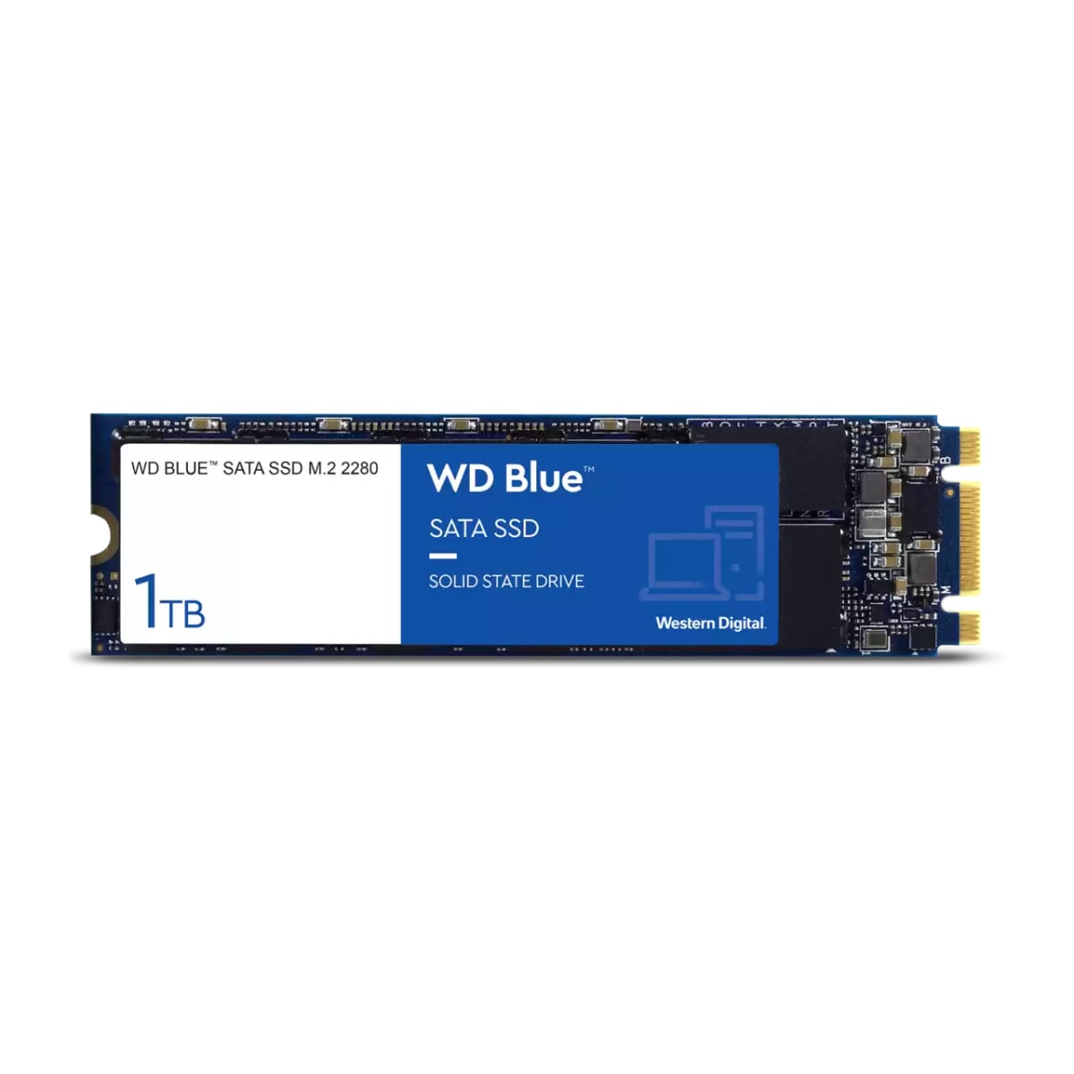 SSD 1TB WD BLUE M21
