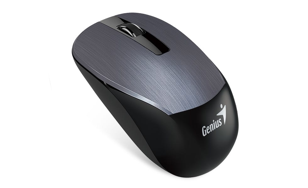 MOUSE GENIUS NX-70151