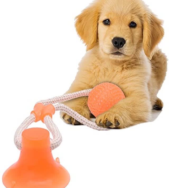 Dog Toy Pelota Para Perros Con Ventosa JUGUETE PERRO PELOTA CON