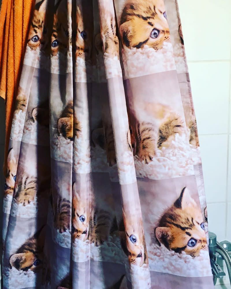 CORTINA CARITAS DE GATO | Neko Mascotas