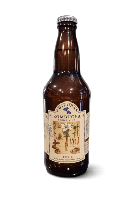 Kombucha Elixir1