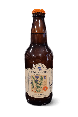 Kombucha Momentum1