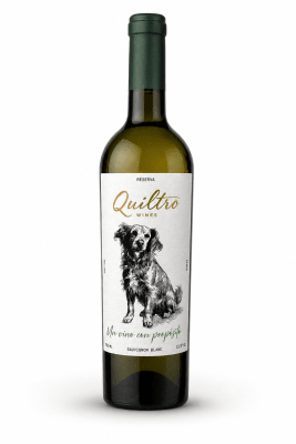 Vino Sauvignon Blanc Quiltro Wines1