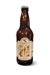 Kombucha Elixir