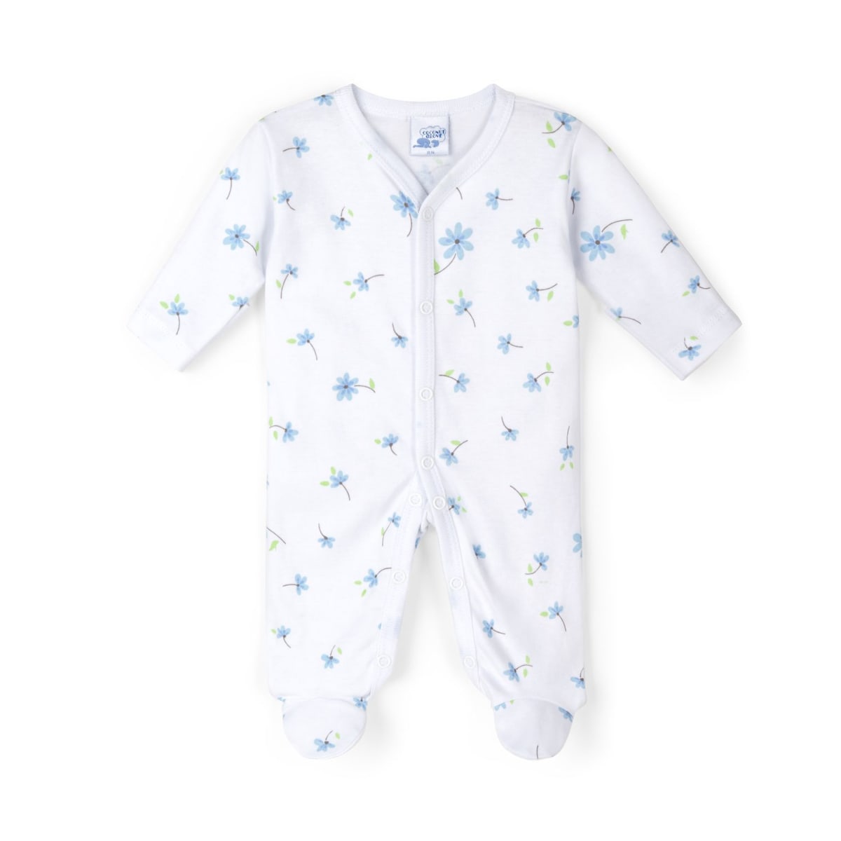 ENTERITO BROCHE JACINTO1