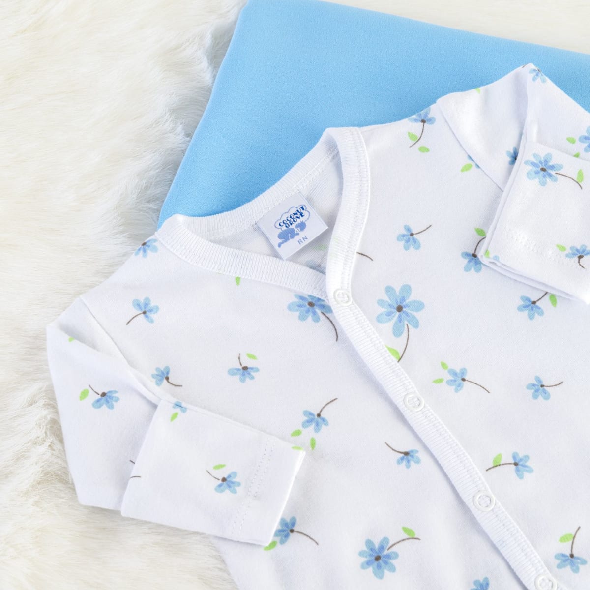 ENTERITO BROCHE JACINTO2