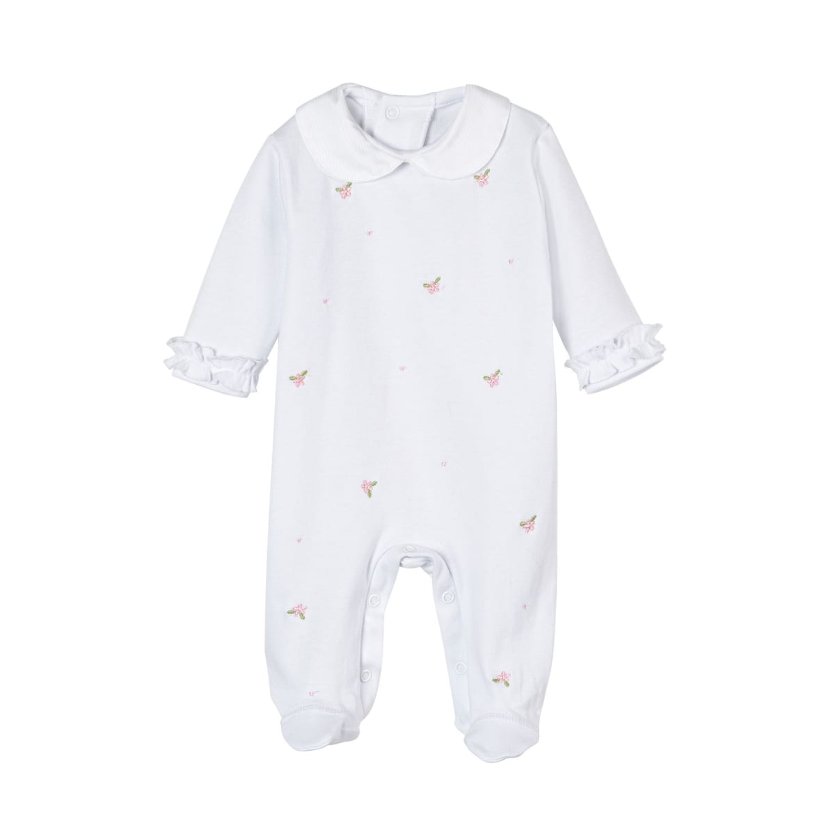 ENTERITO FLOR SALPICADA1