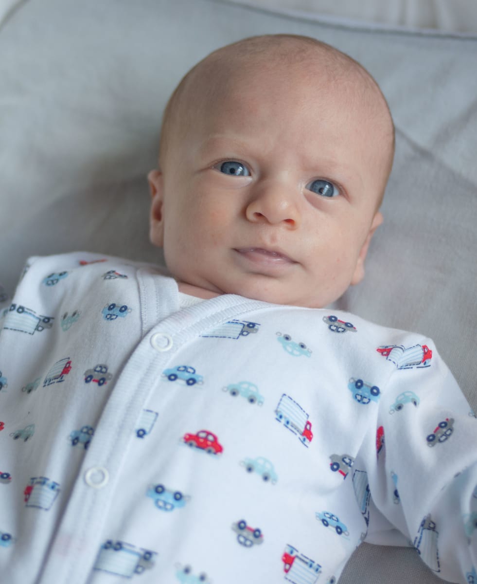 ENTERITO BROCHES CAMIONES2