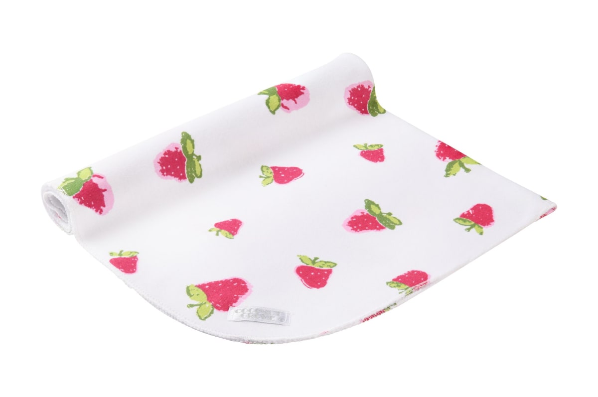 TUTO GRANDE FRUTILLAS1