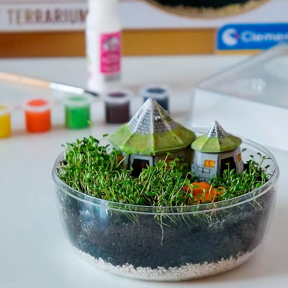 Harry Potter Terrarium Mágico3