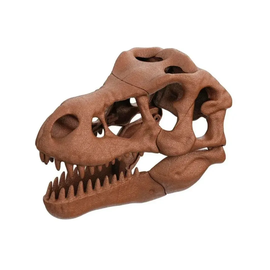 Clementoni Arqueojugando Craneo de T-Rex2