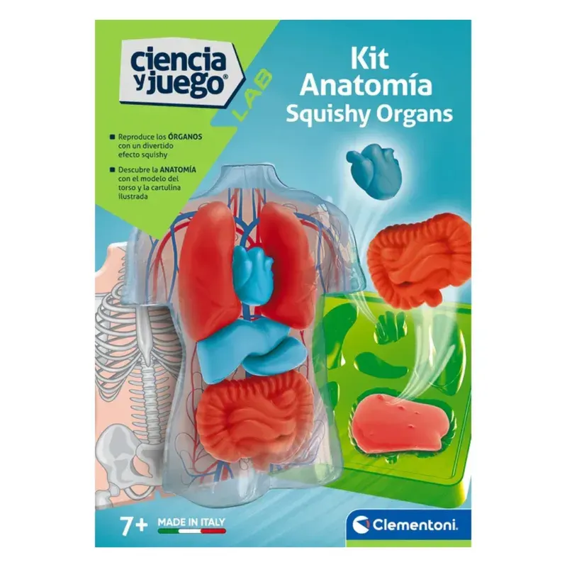 Clementoni Kit Anatomía Squishy Organs1