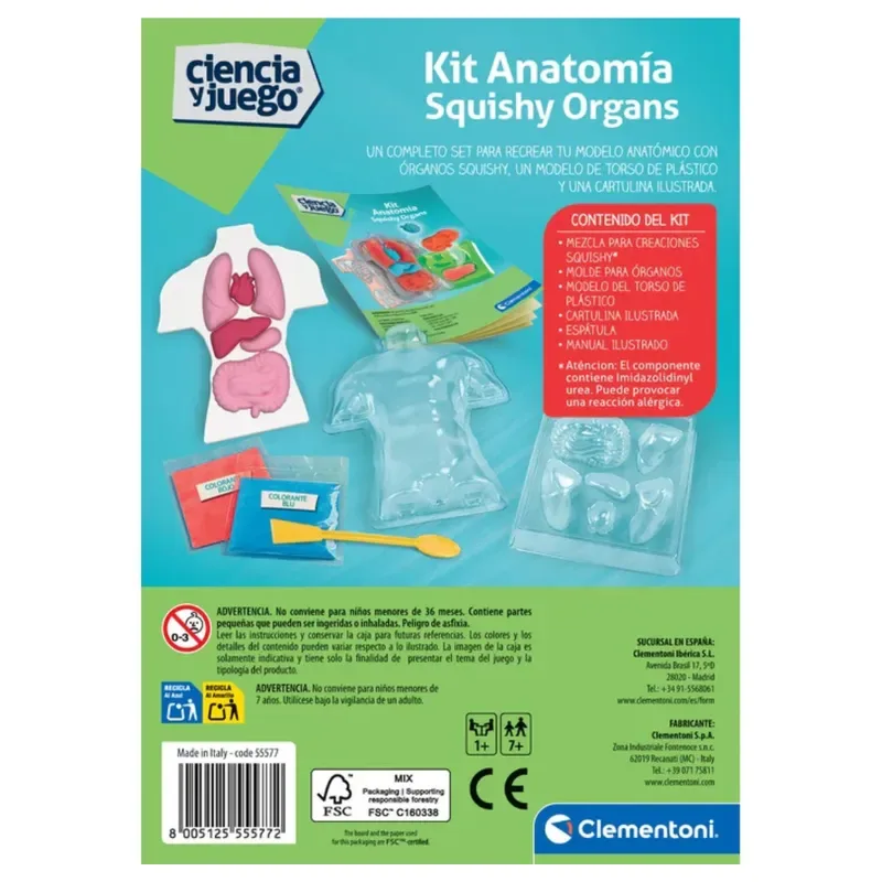 Clementoni Kit Anatomía Squishy Organs2