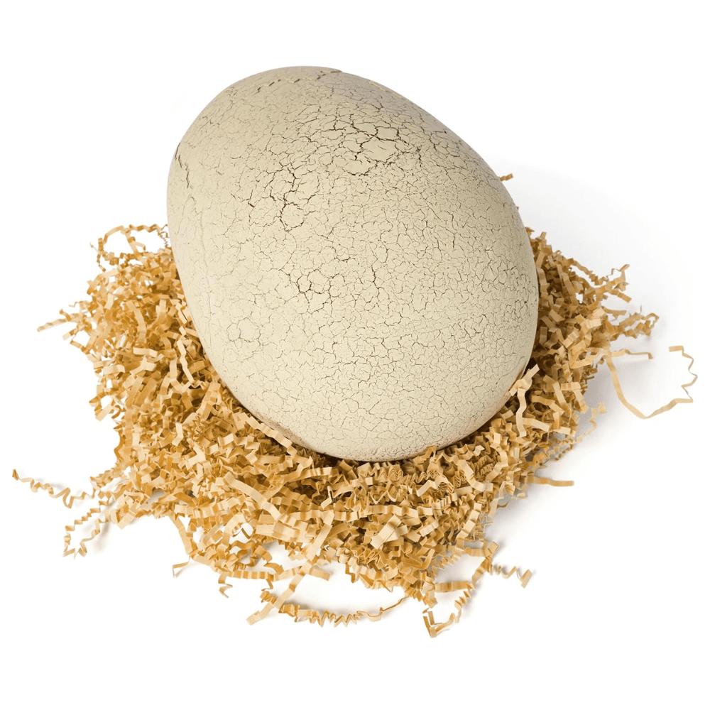 Juguete Interactivo Tiranosaurio Rex Primal Hatch3