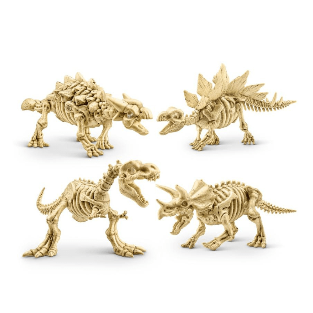 Set De Juego Descubre Dino Fosiles Aventura Ambar Asst Robo Alive5