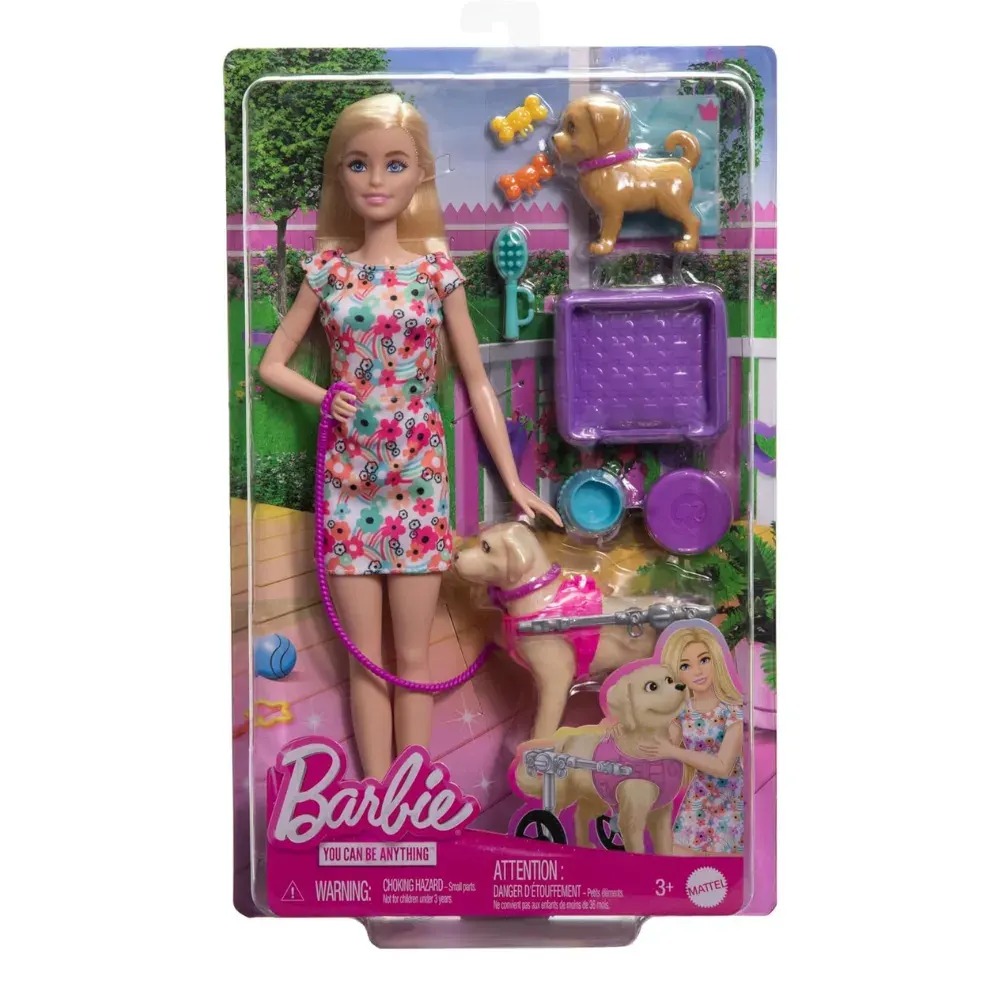 Barbie Set de Juego Paseo de Perrito1